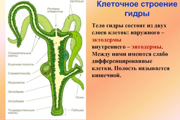 Кракен адрес сайта