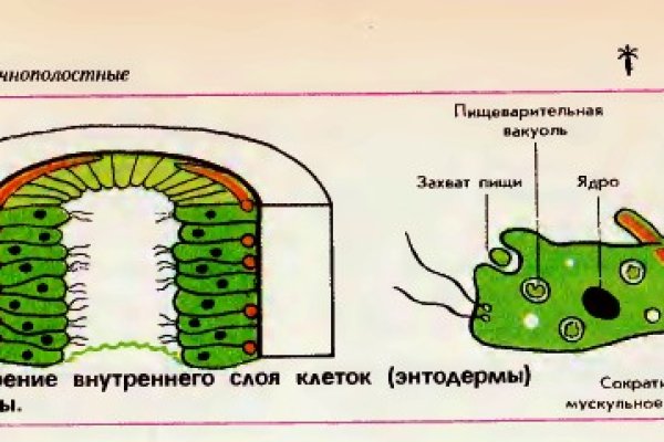 Кракен 15 сайт