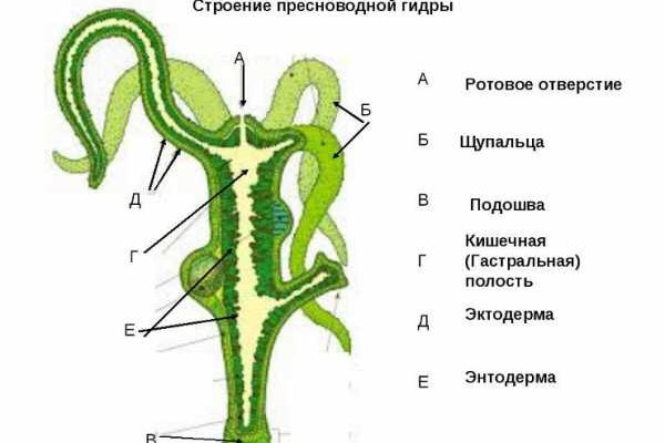 Кракен что можно купить